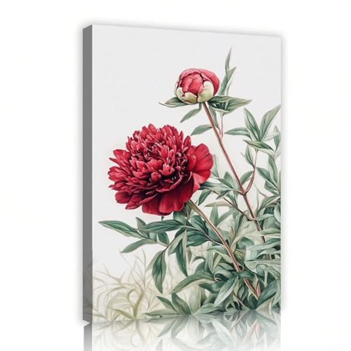 Toile murale pivoine rouge, impression de ferme vintage 50 x 70 cm rustique