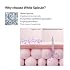 SUNGBOON EDITOR Deep Collagen Retinol Capsule Cream | For Fine Lines and Dry Skin | White Spicules + Collagen + Retinol | Korean Skincare, 1.69 fl.oz | Gifts for Women
