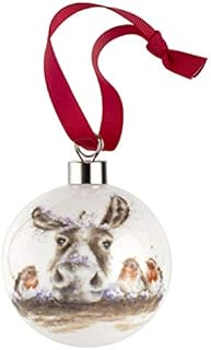 Portmeirion Home & Gifts WNQE79011-XG Donkey (donkey & robin) -Christmas Bauble, Multi-Colour colour, 9