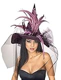 Rubie's womens Witch Hat With Feathers and Veil Costume Accessory, Purple, One Size US