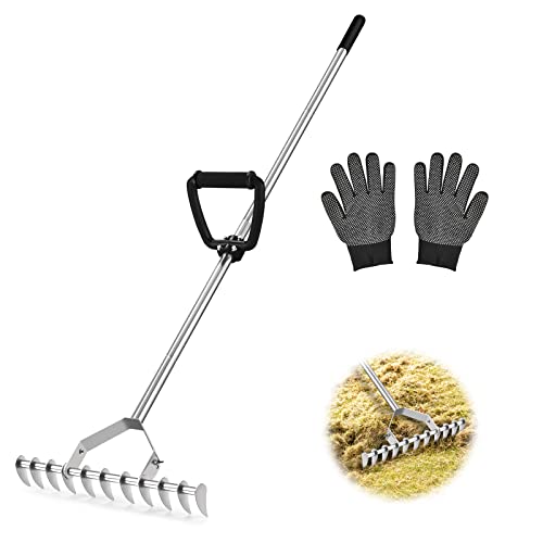 Dethatching Rake Curved Blade DACK 64
