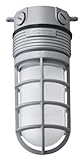 Lithonia Lighting OLVTCM M6 Ceiling Mount LED Vapor Light, 4000k,15 watts, 600 Lumens, 120 Volts, Gray, MVOLT, Grey
