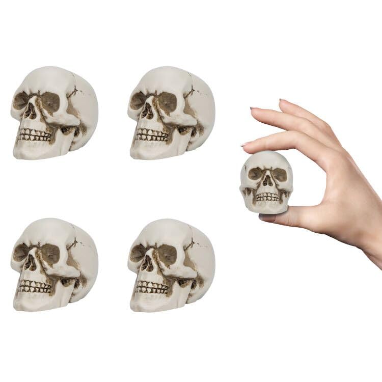 Calaveras de resina READAEER de alta durabilidad y realismo para estanterías