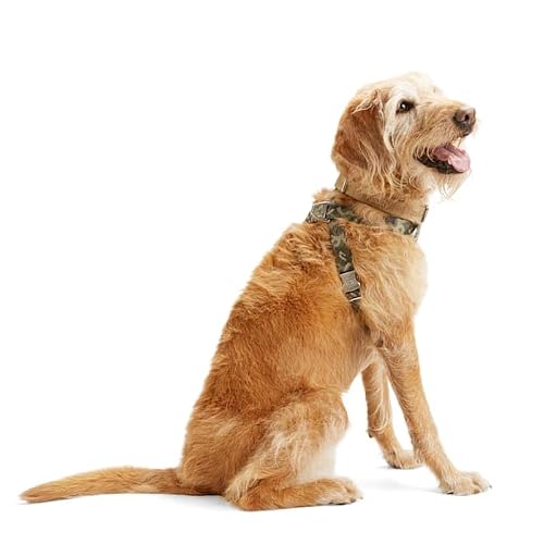 Reddy Green Camo Dog Harness, X-Large/XX-Large - Thumbnail 2