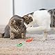 JDXun 2 Stück Mini Käfer, elektrisches Haustier Insekten Marienkäfer Spielspielzeug für Katzen Kätzchen Hunde