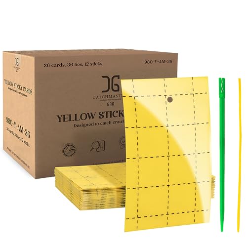 Catchmaster GRO Yellow Regular Double Sided Sticky Traps 36PK, Adhesive Bug & Fruit Fly Trap, Pest Control for Home, Farm, Garden, Hydroponics & Greenhouse, Protect Live Plants Indoor & Outdoor