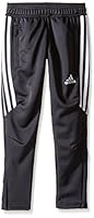 Algopix Similar Product 2 - adidas Youth Soccer Tiro 17 Pants