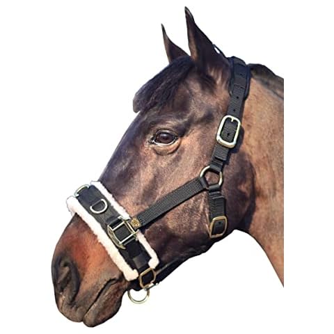 T TEKE Lunge Cavesson with Fleece Lined Nose Band and Crown Cover