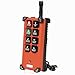 Industrial Wireless Crane Remote Control kit F21-E1B 8 Button 12v 24v Electric Lift Hoist Overhead Tower Bridge Radio Switch Receiver (2 Transmitters + DC 12V Receiver)