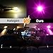 iBrightstar 31mm DE3175 DE3021 194 168 T10 LED Bulbs 3030 Chipset Error Free for Car Truck Interiors Dome Map Door Courtesy License Plate Lights pack of 10, Purple