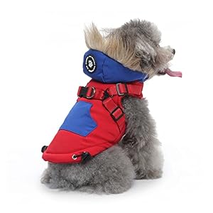PETCUTE Hooded hond winterjas, warme waterdichte hond jas met fleece voering, winddicht hond jas huisdier kleding voor kleine middelgrote grote honden puppy, huisdier vest kleding met rits sluiting