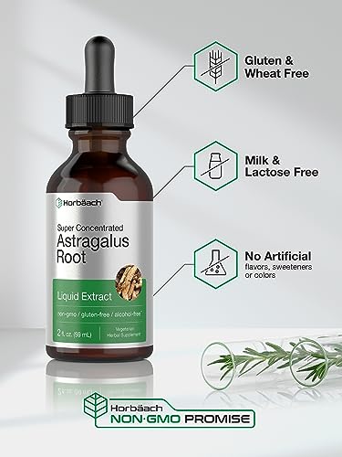Astragalus Root Extract Liquid | 2 Fl Oz | Alcohol Free Tincture | Super Concentrated | Vegetarian, Non-Gmo, Gluten Free | By Horbaach #TOP3