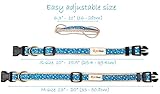 Hundehalstuch mit Halsband und Freundschaftsarmband von Pettsie, Verstellbare Größen S, M, und L, Abnehmbares Bandana Tuch, Inklusive, Hundeliebhaber, M, Blau