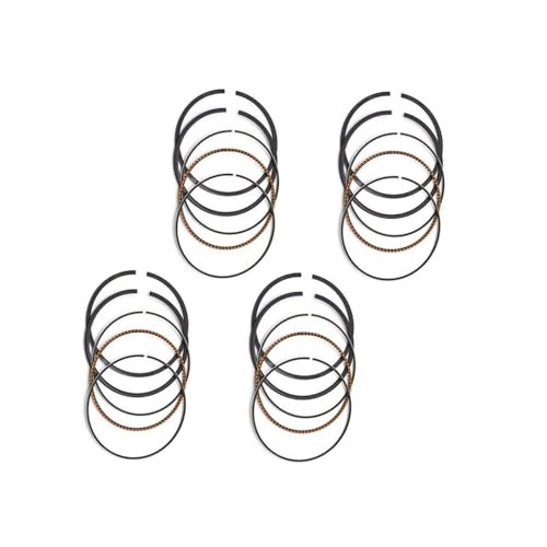 Segment de piston 48.75mm Alésage +25 pour moteur CBR250 Hornet 250 Jade MC14E MC19