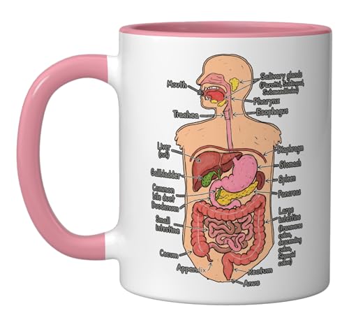Human Digestive System Anatomy Mug Pink/White