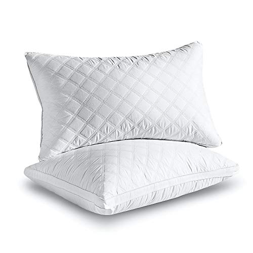 Sable Hotel Pillows for Sleeping 2 Pack Queen, Goose Down Alternative Pillows