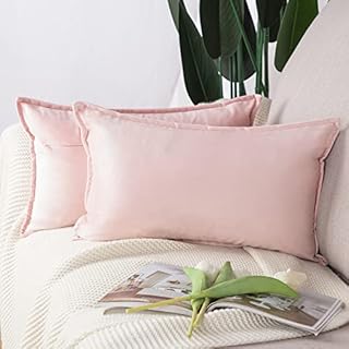 Madizz Pack of 2 Super Soft Velvet Decorative Cushion Covers with Fringe Luxury Style Cushion Case Pillow Shell for Sofa Bedroom Light Pink 12x20 inch Rectangular