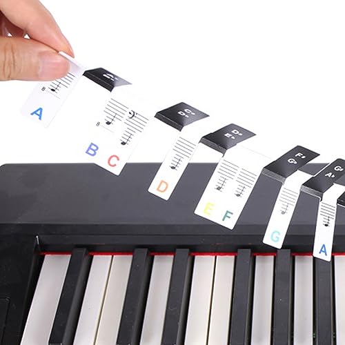 88 Key Piano Note Colorful Removable 88 Key Piano Keyboard Sticker Attractive Appearance Removable 88 Keys