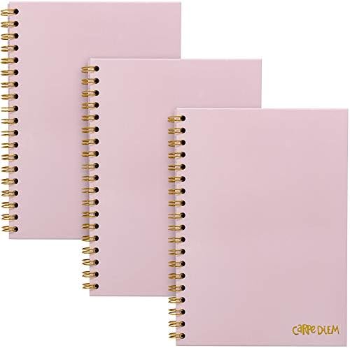 Pukka Pad, Carpe Diem 3-Pack B5 Hardcover Notebooks, 7 x 9.8 Inches Each, Ballerina Pink