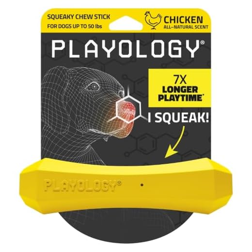 Playology Squeaky Chew Stick Dog Toy, for Medium to Large Dogs (15lbs - 35lbs) - for Moderate Chewers - Engaging All-Natural Chicken Scented Toy - Non-Toxic Materials