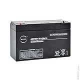 Garantía: 2 años NX - Batería Plomo AGM 12-6 General Purpose FR 6V 12Ah F6.35