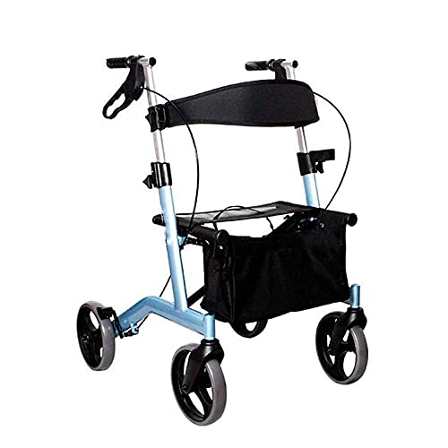 җpsAA~V[gƃVbsOoXPbg4֕s⏕Au[Ltҗpst[p܂肽ݎs Beauty Comes