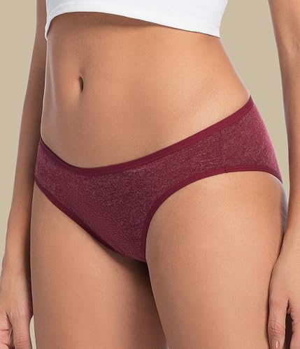 Merino Wool Underwear Women 3 Pack, Breathable Wooly Panties, Bikini Ladies Briefs Underwear2