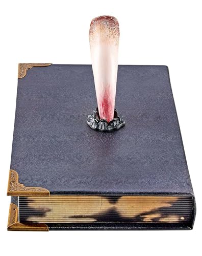 Spirit Halloween Tom Riddle Diary Box