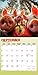 Pigsty | 2026 12 x 24 Inch (Hanging) Monthly Square Wall Calendar | Plastic-Free | BrownTrout | Domestic Pet Farm Animals