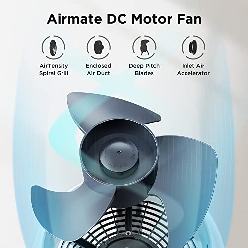 Airmate Oscillating Fan Air Circulator Table Fans, 12In Silent Cooling Fans, Personal Portable Table Fan With 10 Speeds For Home, Office, Bedroom, Dorm [White] #TOP4