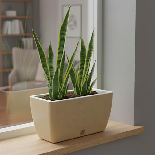 Image of GARDENCIA Self Watering Flower Pots for Outdoor Indoor Gardening /Rectangle Big Plant Pot with Polypropylene UV Material /Decorative Modern Gamla (Recta Big Stone Gold, Pack of 4)