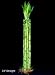 Betterdecor - 10 Stalks of 24 Inches Straight Lucky Bamboo