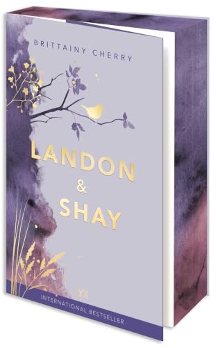 Landon & Shay (Chances)