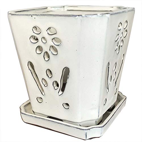 Orchid Pot With Drainage Hole Large Orchid Planter Cream Indoor&Outdoor Flower Pot 7 Inch Orchid Container(Cream) ? #TOP1