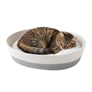 Kitty City Woven