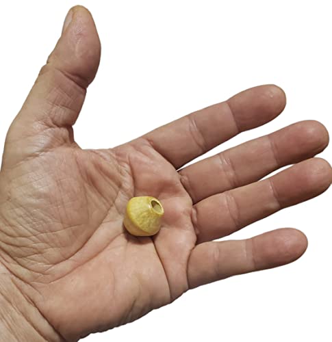 Bolinha De Madeira Natural Conta Artesanato Balão 50 Unidades