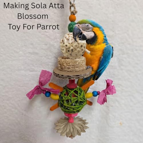 6 Pieces Sola Atta Ball Parrot Biting Toy, Natural Sola Plant Material Bird Chew Accessories for Parrots, Rabbits, Hamsters and Small Pets — 사진 6