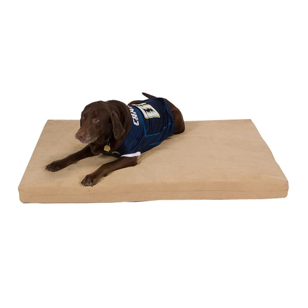 Pet Support Systems Gel Memory Foam Dog Bed