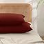 Fired Brick Red