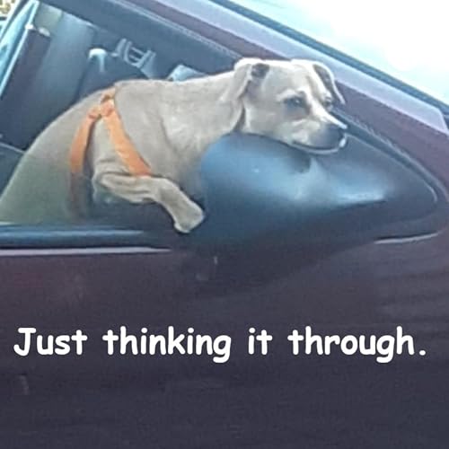 This Ninja Here. cover art