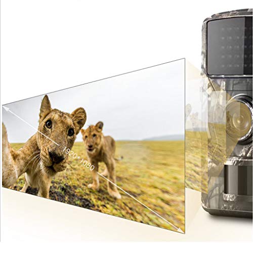 YIJU DL001 Câmera 12MP Wild Surveillance Traps Câmera de Caça Ao Ar Livre