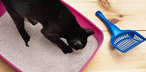 Sílica Micro Granulado Higiênico Natural Good Cat para Gatos 1,6 Kg