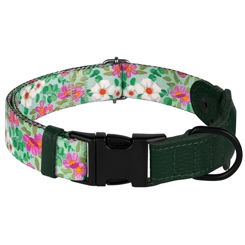 Collier chien avec support Apple AirTag et boucle métal robuste
