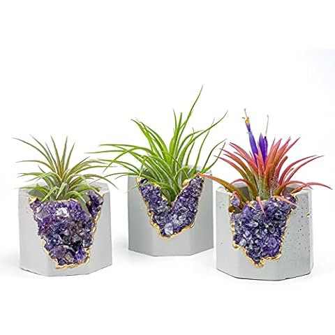 Geode Planter | Unique Air Plant Holder | Raw Amethyst Crystal Planter | Mini Succulent Pot | Purple and Gold Small Cactus Pot | Healing Crystals Candle Holder | Cover