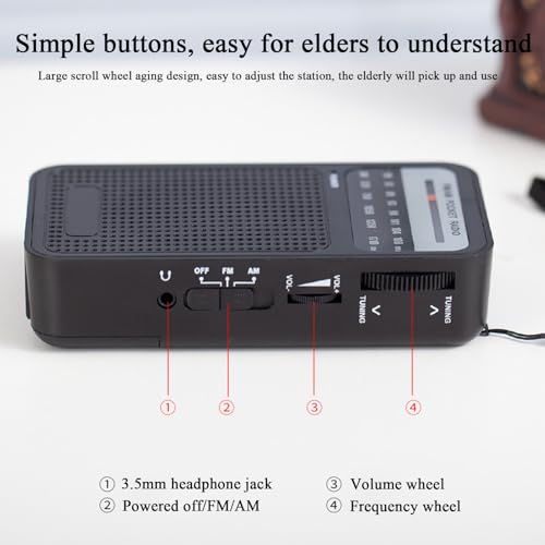 Radio portable et compacte à piles avec haut-parleur sans fil