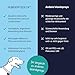 Hundepflege24 Wundspray Hund - Desinfiziert, beruhigt, pflegt & schützt Wunden Aller Art ohne zu Brennen - 125ml mit bewährten Wirkstoffen Wundspray für Hunde - Pflege & Wunddesinfektion Hund