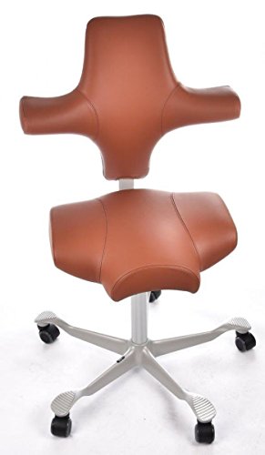 Preisvergleich Produktbild HAG Capisco Bürostuhl Modell 8106 Leder Braun Sattelsitz