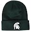 Michigan State Green