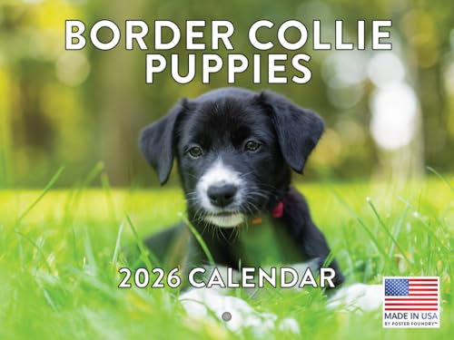 Border Collie Puppy Calendar 2026 Wall 12 Month Monthly Puppies Border Collies Gifts For Border Collie Lovers Women Men Mom Dad | American Made In The USA