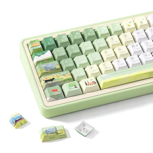 ZERROIOY 130�L�[ �O���[�� �{�^�j�J���e�[�} �L�[�L���b�v PBT ���،^ �J�X�^�� �`�F���[�v���t�@�C�� �L�[�L���b�v�Z�b�g Cherry Gateron MX�X�C�b�`�Ή� ���J�j�J���Q�[�~���O�L�[�{�[�h